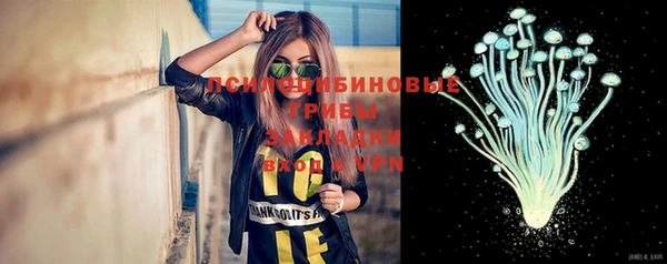 трава Зеленодольск