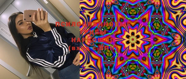 шишки Наволоки
