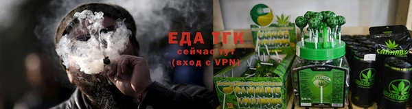 СК Зеленокумск