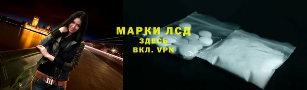 СК Зеленокумск